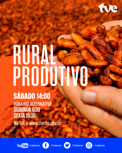 Fábrica de chocolate, colmeias e bolo vegano no Rural Produtivo da TVE 