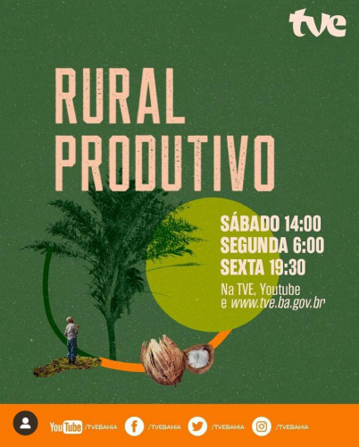 Ovinocaprinocultura, cachoeira, associativismo e camarão tropical no rural produtivo
