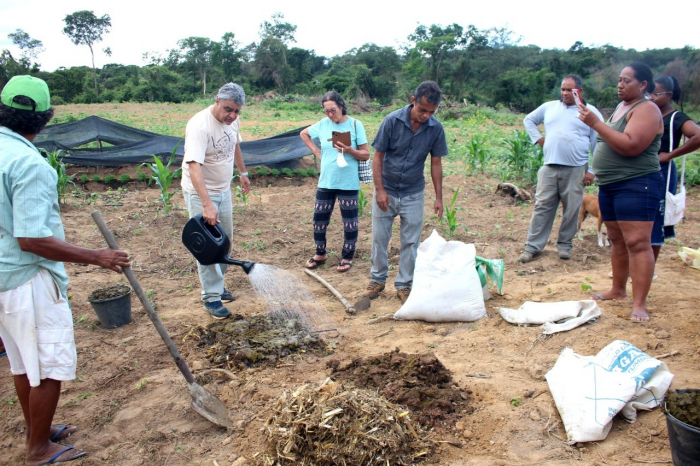 Práticas agroecológicas são ensinadas em curso sobre Agroecologia em Andaraí