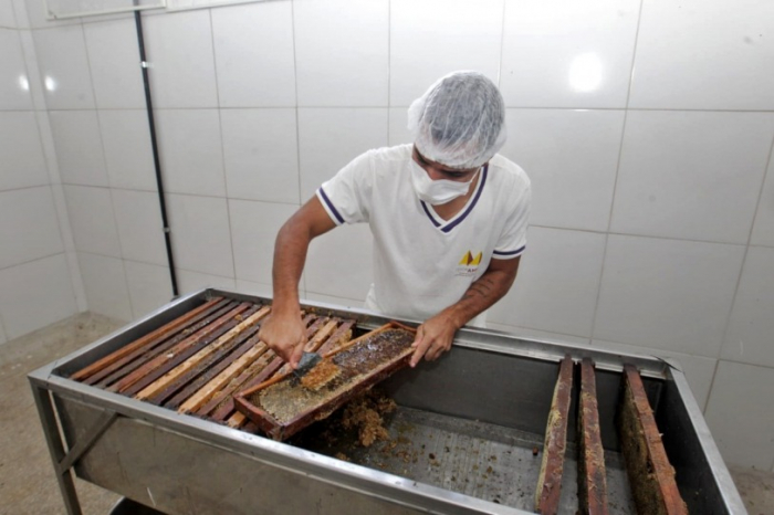 Agricultura familiar do território Velho Chico conta com R$ 466 milhões em investimentos