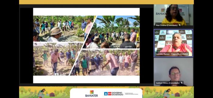 Diálogos de Ater destaca experiências da agricultura familiar com o Cacau Mais no Baixo Sul