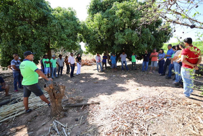 Entrega de equipamentos impulsiona agricultura familiar de Riacho de Santana