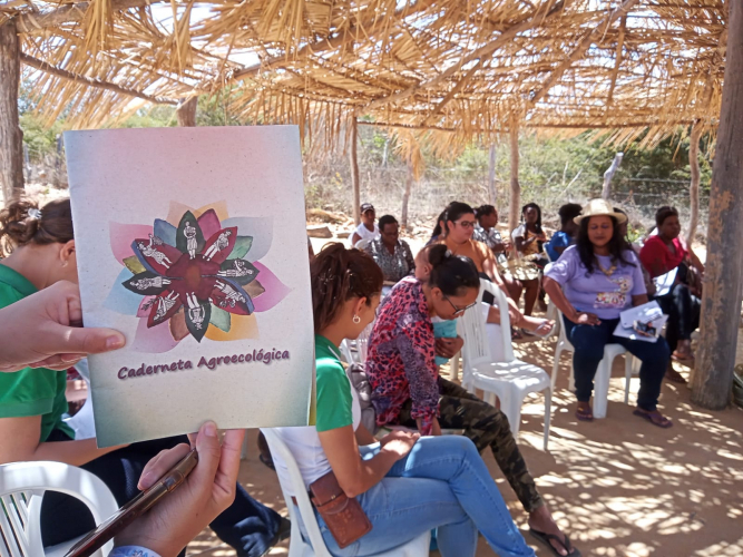 Mulheres do Sertão Produtivo melhoram gestão de suas produções com auxílio das Cadernetas Agroecológicas