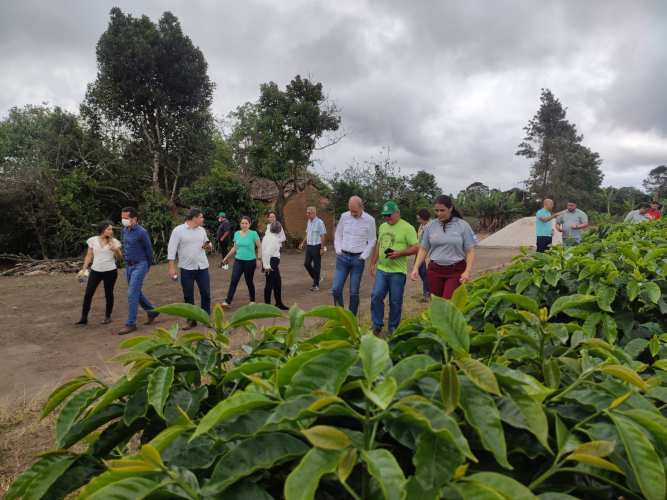 Missão do Banco Mundial avalia impactos do projeto Bahia Produtiva em cooperativa de Barra do Choça