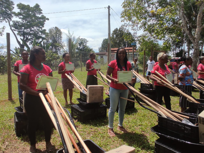 Instalação de quintais produtivos e galinheiros fortalece produção de mulheres de cooperativa do Baixo Sul