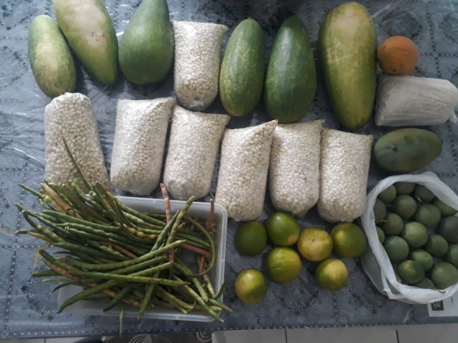 Produção de alimentos complementa renda de agricultores de Candiba