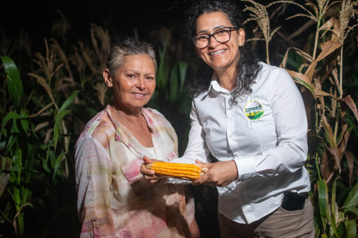 Assistência técnica na produção de milho não-transgênico promove elevação de faturamento na Copirecê