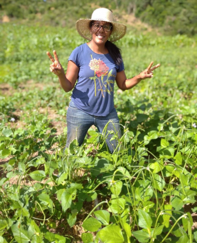 Investimentos do Estado na agricultura familiar permitem o retorno de famílias ao rural da Bahia
