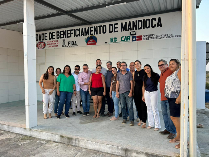 A raiz das raízes: mandioca como fonte de alimento, renda e autonomia na Bahia