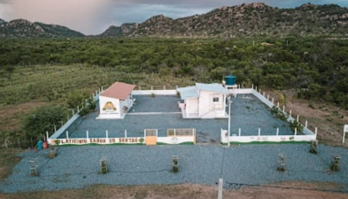 Agricultura familiar lança queijo de origem Holandesa