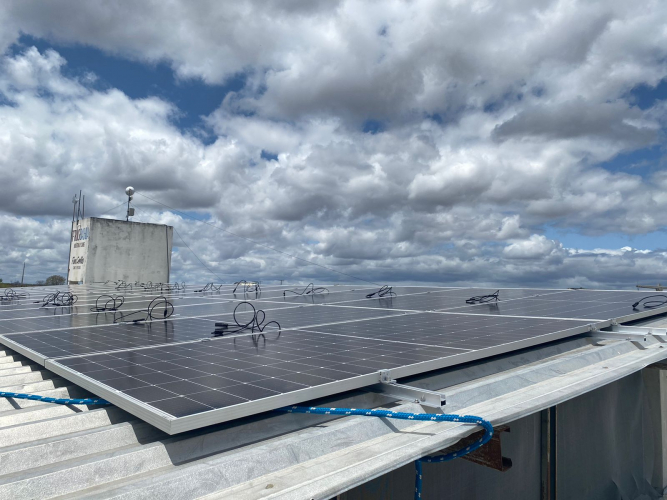 Sustentabilidade e mais renda para produtores de caprinos e ovinos da Bahia