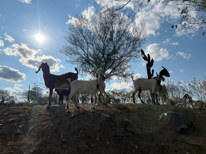 Equipamentos entregues pelo Governo do Estado contribuem com os impactos provocados nos períodos de estiagem