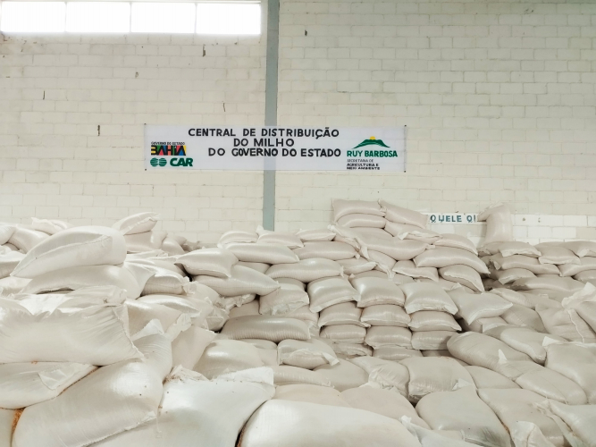 Sacas de milho garantirão alimento para os rebanhos de agricultores familiares de mais dois territórios baianos 