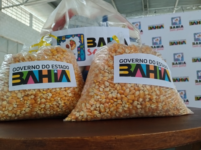 Sacas de milho garantirão alimento para os rebanhos de agricultores familiares de mais dois territórios baianos 