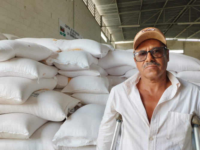 Sacas de milho garantirão alimento para os rebanhos de agricultores familiares de mais dois territórios baianos 