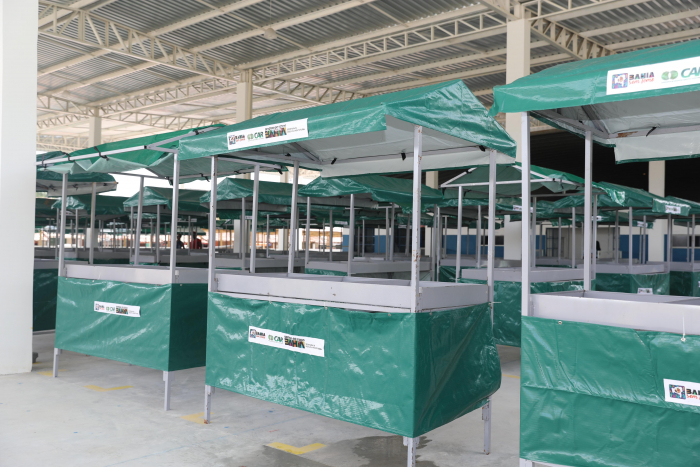 Novo galpão de frutas e verduras, entrega de títulos de terra e barracas de feira fortalecem a produção e comercialização da agricultura familiar em Alagoinhas