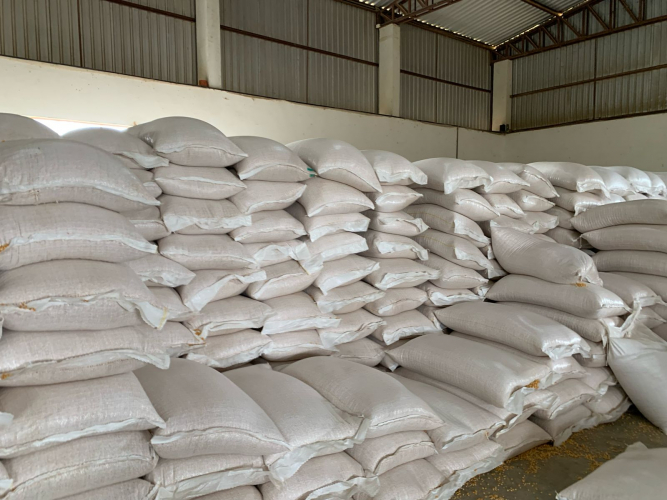 Municípios do Sudoeste e Bacia do Jacuípe recebem milho para assegurar alimentação para rebanhos de agricultores familiares