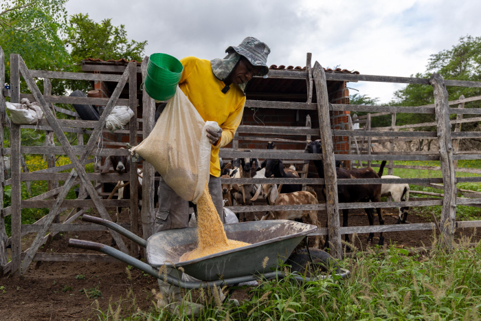 Fotos: André Frutuôso