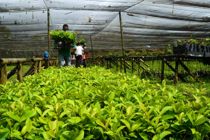 Fotos: Mariana Ferreira/Bahiater/SDR/GOVBA