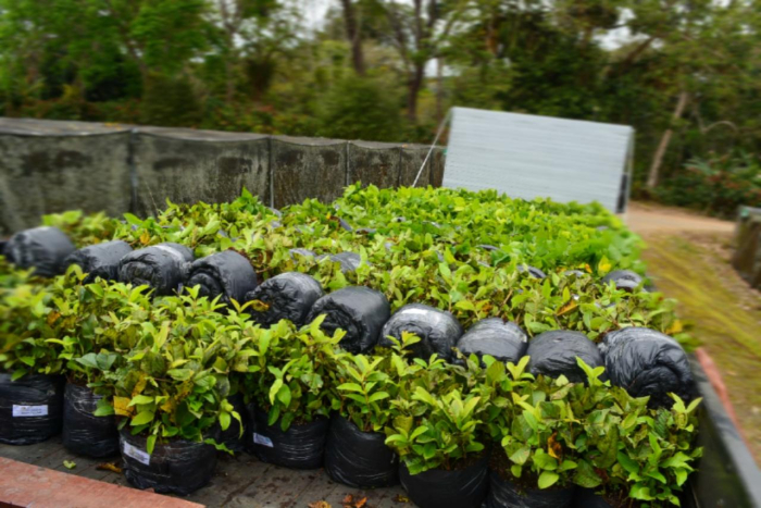 Fotos: Mariana Ferreira/Bahiater/SDR/GOVBA