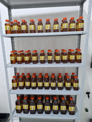 Fotos: Elka Macêdo e Vânia Barros