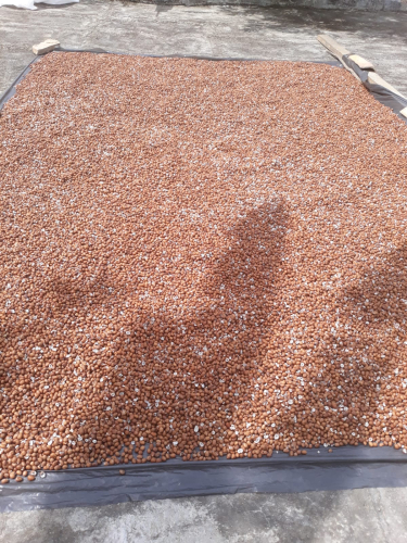 Fotos: Carlos Eduardo/Idesa