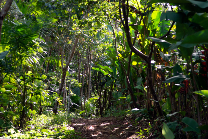 Fotos: André Frutuôso/CAR/SDR/GOVBA
