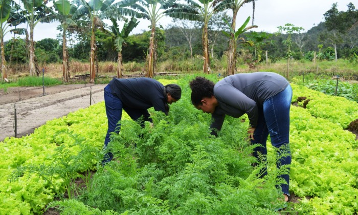 Foto: Mariana Miranda/SDA/SDR
