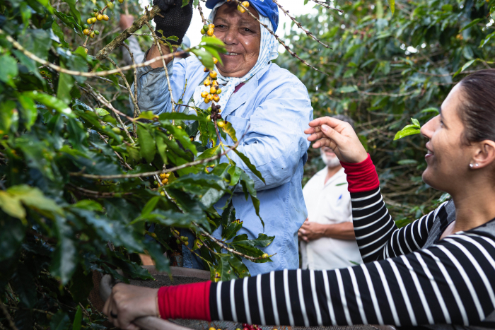 Investimentos no rural impactam na estabilidade  da pobreza na Bahia