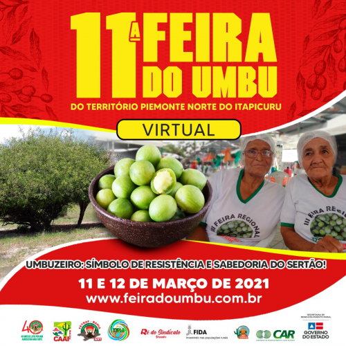 11ª Feira do Umbu do Território Piemonte Norte do Itapicuru terá sistema de delivery para garantir a comercialização  