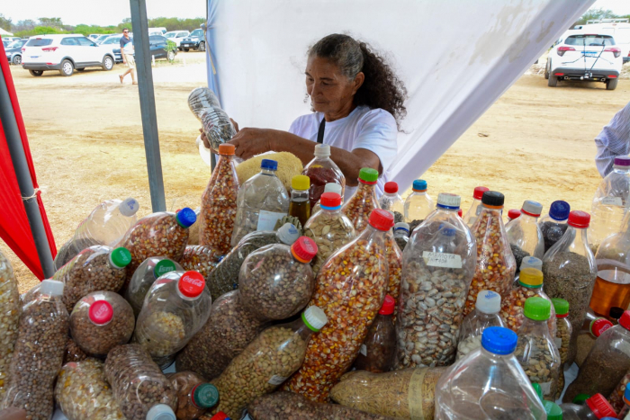 Feira da Agrobiodiversidade reúne guardiães de sementes no Semiárido Show&nbsp;