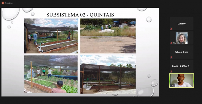 Assessoramento técnico e diversidade da produção asseguram renda e segurança alimentar para agricultores familiares