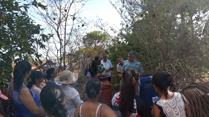 Visita técnica à propriedade do agricultor Silvio Teixeira em Barro Alto (foto de arquivo)
