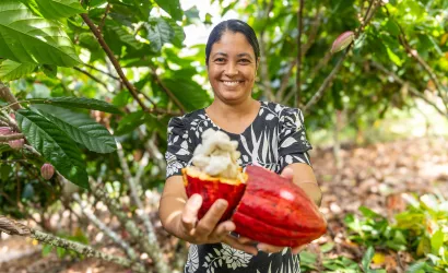 Projeto aprovado na Câmara define regras para o chocolate e deve ampliar a demanda por cacau