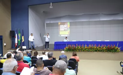 Estratégias para valorização do cacau 