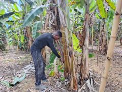 06  PNCF P TANCREDO NEVES.jpeg