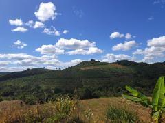 09   PNCF P TANCREDO NEVES.jpeg