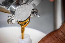 WhatsApp Image 2025-05-08 at 10.10.00 (1).jpeg