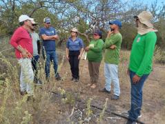 WhatsApp Image 2025-05-16 at 07.42.08 (1).jpeg