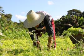 FOTO-ÍTALO OLIVEIRA-SDR-GOVBA (3).jpg