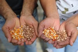 FOTO-ÍTALO OLIVEIRA-SDR-GOVBA (5).jpg