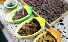 FOTOS-GERALDO CARVALHO-ASCOM-CAR-SDR (6).jpeg