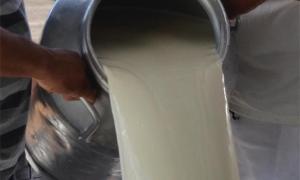 WhatsApp Image 2025-05-31 at 13.07.44(1).jpeg