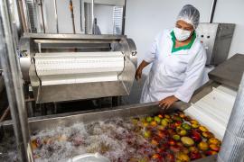 Bahia celebra o Dia da Agricultura Familiar  (2) Fotos André Frutuôso.jpeg