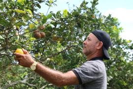 FOTO-ÍTALO OLIVEIRA-SDR-GOVBA (5).jpg