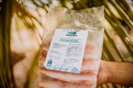 Festival Territorial da Pesca Artesanal e Aquicultura-2.jpg