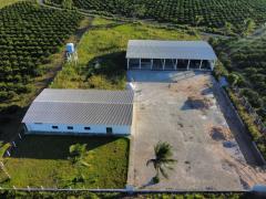 WhatsApp Image 2025-07-03 at 16.47.37(4).jpeg