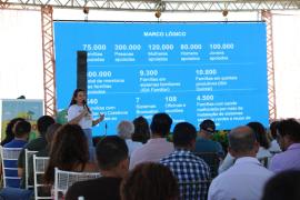 WhatsApp Image 2025-07-15 at 16.03.49.jpeg