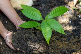 WhatsApp Image 2025-07-29 at 16.01.21.jpeg