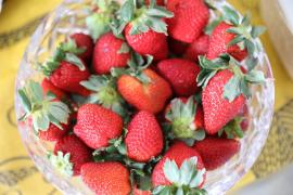 Agroindústria Coopchapada (5).jpeg